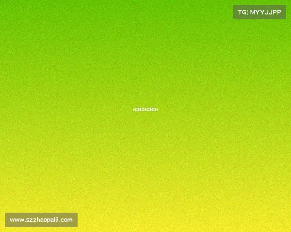 怀化市第十七届运动会